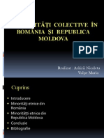 Identitati Colective in Romania Si Republica Moldova Vulpearhirii