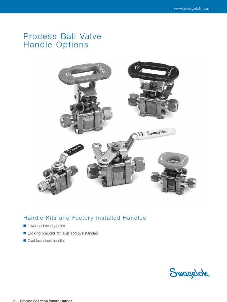 Globe Valves Lock (Security Device) Valve