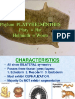 Phylum Platyhelminthes Platy Flat Helminth Worm