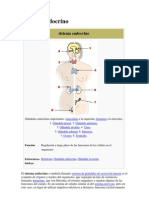 Sistema Endocrino