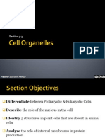 3 3 Cell Organelles PPT 1193949429900273 1