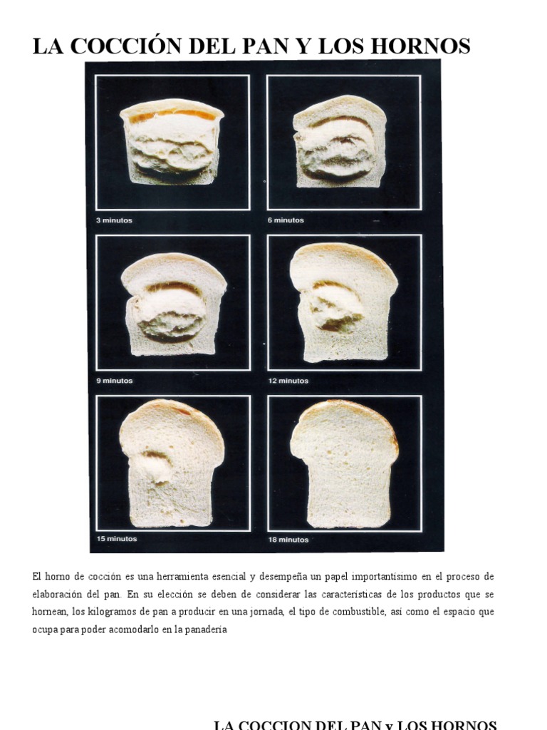 LA COCCIÓN DEL PAN Y LOS HORNOS.doc Panes Convección