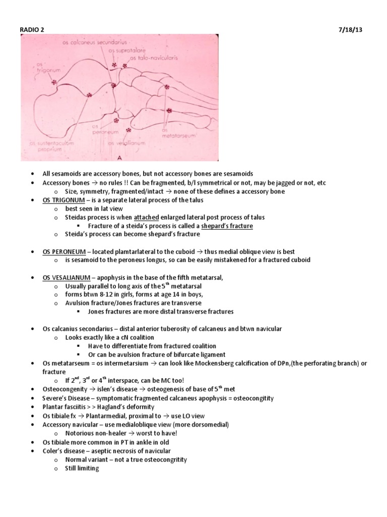 Understanding Steida's Process and Fractures | PDF | Science & Mathematics