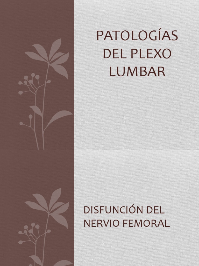 PATOLOGÍAS DEL PLEXO LUMBAR | Rodilla | Anatomía humana
