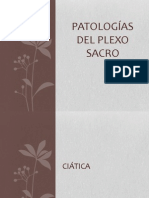 Patologías Del Plexo Sacro