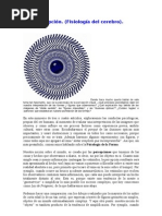 Fisiologia Del Cerebro(Percepcion)