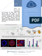 Virtual Cell Culture