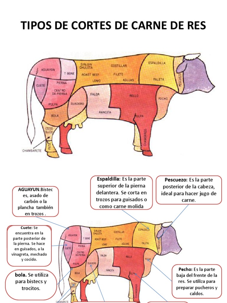 Tipos De Cortes De Carne De Res PDF Caldo Filete