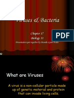 Viruses