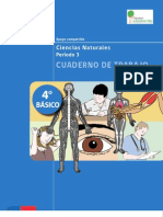 Recurso Cuaderno de Trabajo 28062013045745