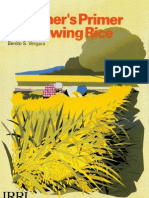 A Farmer - S Primer On Growing Rice