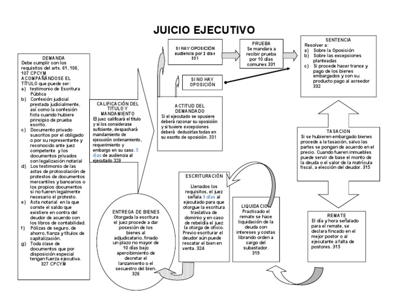 Esquema Juicio Ejecutivo Común
