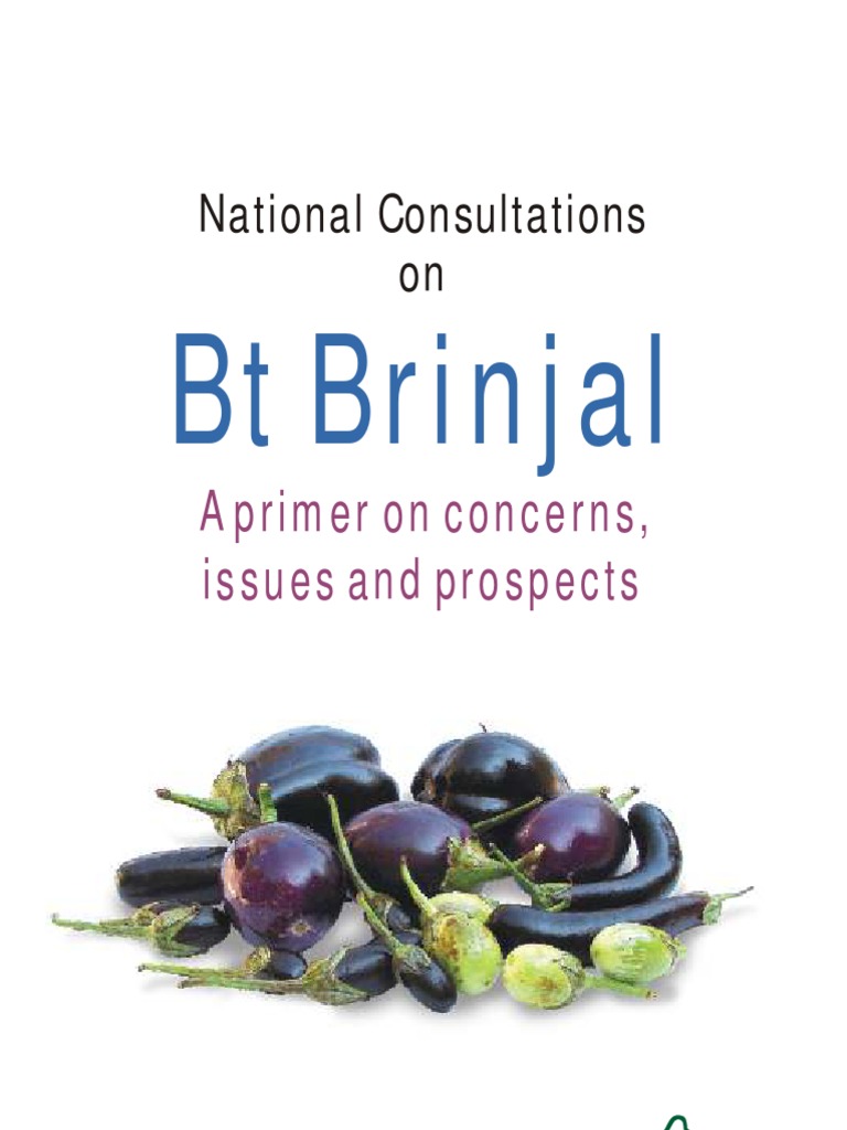 Bt brinjal case study slideshare image