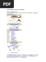 Download Narwhal by stanygeorge SN15631460 doc pdf