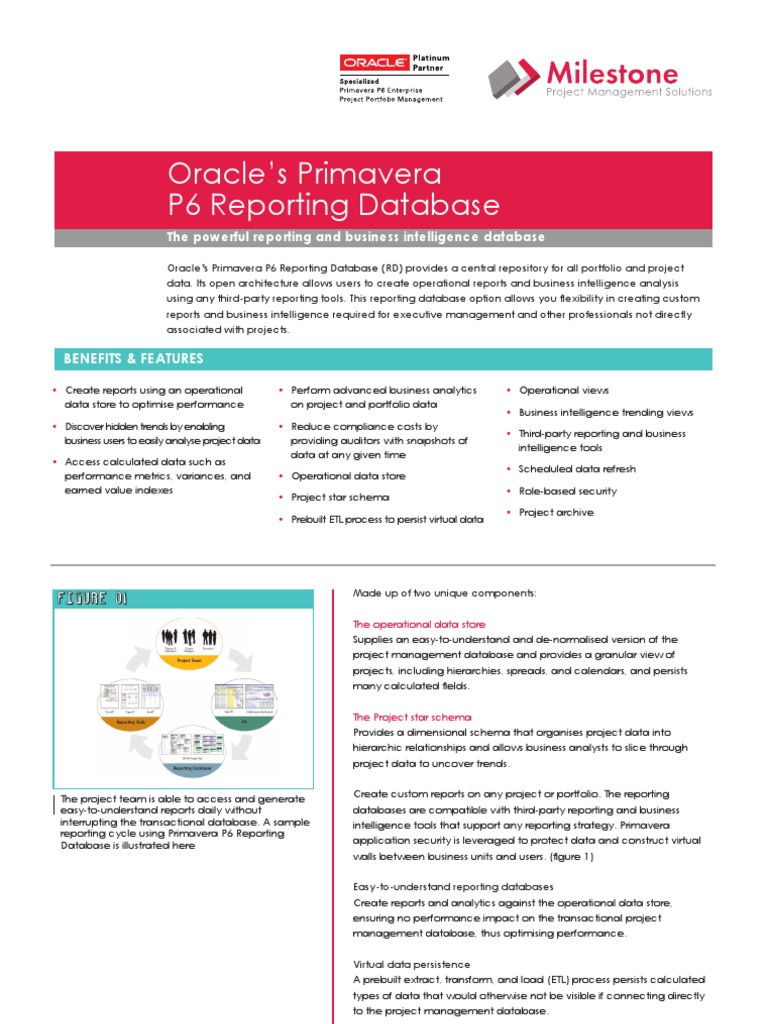Primavera P6 Reporting Database Overview | PDF | Business Intelligence ...