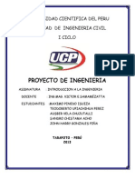 Informe de Proyecto de Ingenieria