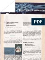 CAP.5-REINO PROTISTA(II)-PROTOZOÁRIOS