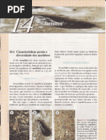 CAP.14-ANELÍDEOS