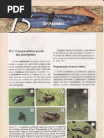 CAP.15-ARTRÓPODOS
