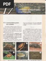 Cap.17 Cordados Protocordados e Vertebrados