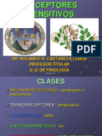 RECEPTORES SENSITIVOS, DR PDF
