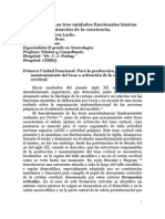 Las Tres Unidades Funcionales Básicas en La Determinación de La Conciencia