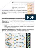 Adn Estructura 1, 2, 3 Y4