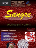 Presentacion de Sangre.ppt