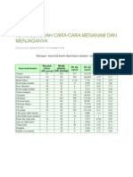 Panduan Tanaman Berbuah