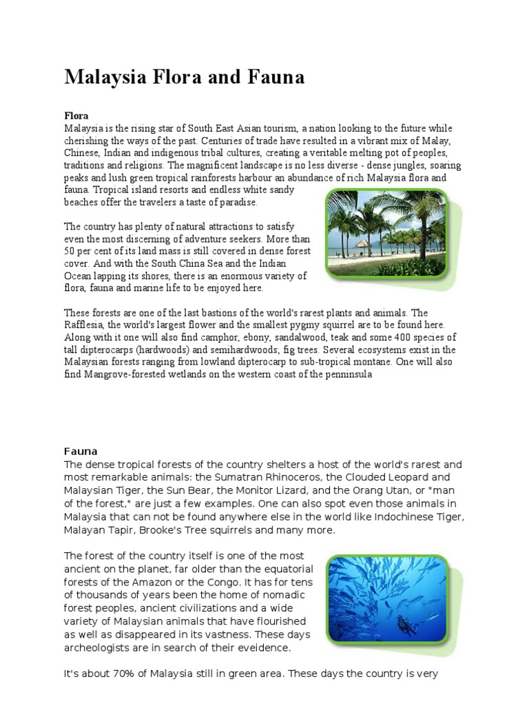 Unduh 9400 Koleksi Gambar Flora Dan Fauna Negara Malaysia Paling Baru HD