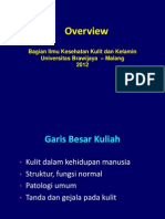 Overview Kuliah Sem 3-2009