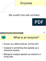 Enzymes Structure and Purpose