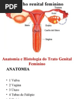 1ª AULA - Anatomia e Histologia