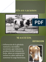 Trab de Mastitis en Vacunos