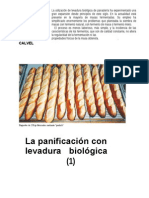 Panificación Con Levadura Biológica