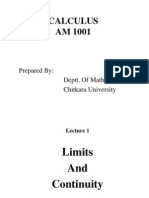 13776173 Limits and Continuity