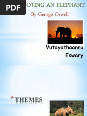 Elephant
