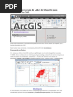 ArcGIS 10 Conversão do Label do Shapefile para Annotation do CAD