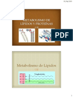 Metabolismo de Lípidos y Proteínas