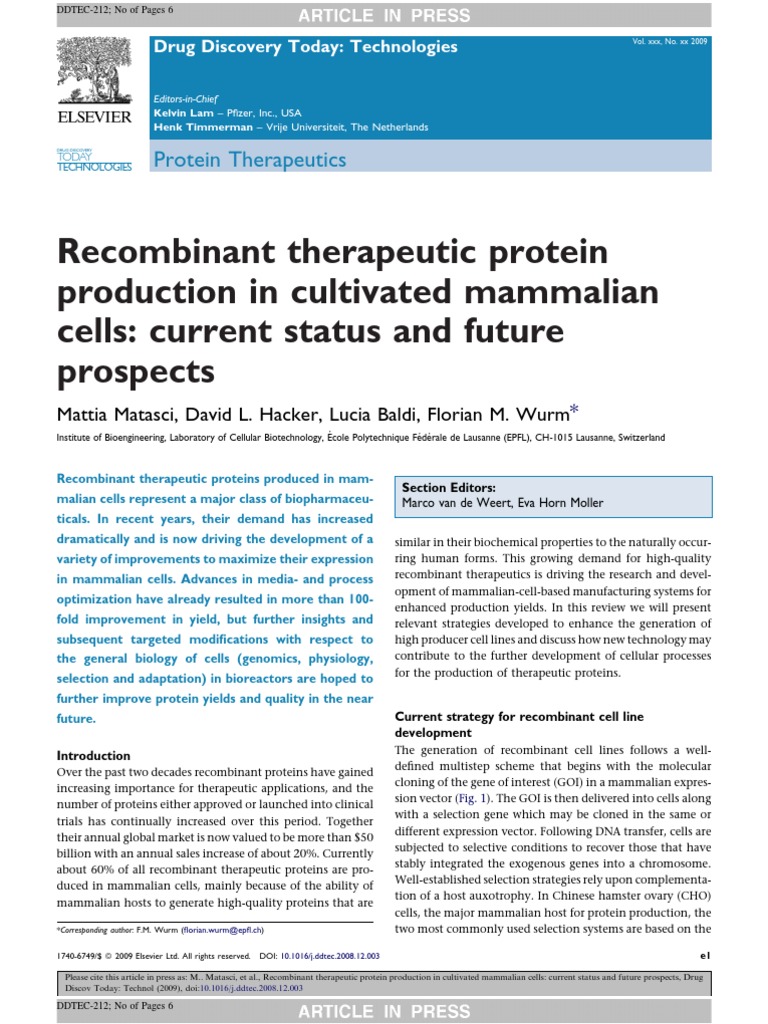 Therapeutic Protein Production in Cultivated Mammalian