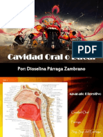 Cavidad Oral o Bucal