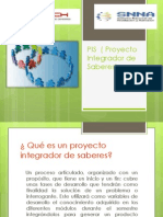 PIS (Proyecto Integrador de Saberes)