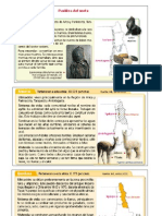 Textos Informativos Pueblos Originarios