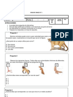 Ensayo 1