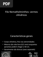 Filo Nemathelminthes3182011182429