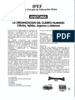 Modulo II Anatomia PDF Procesado