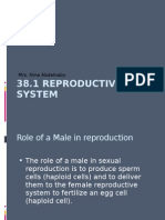 The Reproductive System