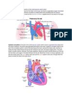 Pulmonary Circulation Is The Portion of The: Cardiovascular System Deoxygenated Blood Lungs Systemic Circulation