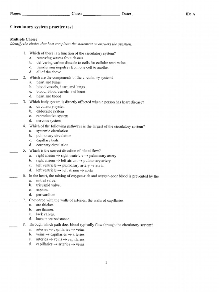 Circulatory System Practice Questions
