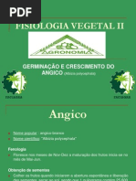 Fisiologia Vegetal II Angico